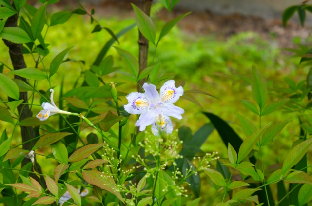 f:id:ohsuminaoto:20110522153244j:image