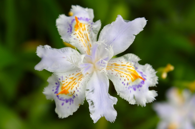 f:id:ohsuminaoto:20110522153357j:image