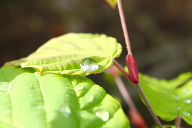 f:id:ohsuminaoto:20110522161557j:image