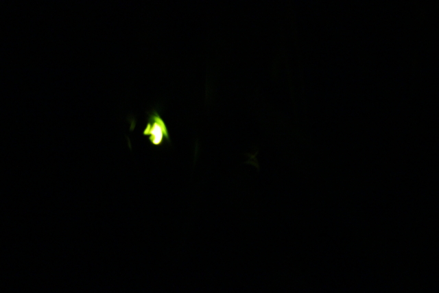 f:id:ohsuminaoto:20110629215151j:image