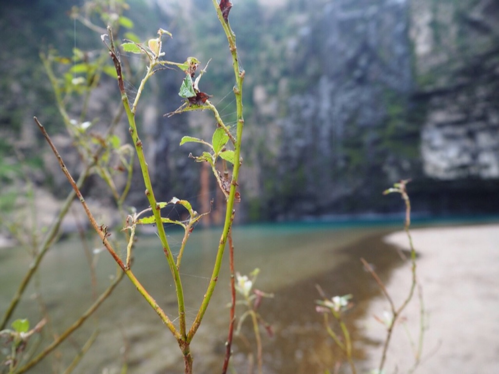 f:id:ohta6322:20151118112250j:image f:id:ohta6322:20151118112250j:image