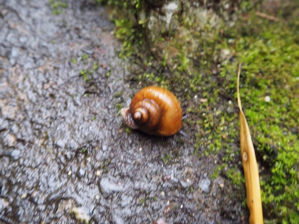 f:id:ohta6322:20151118113428j:image f:id:ohta6322:20151118113428j:image