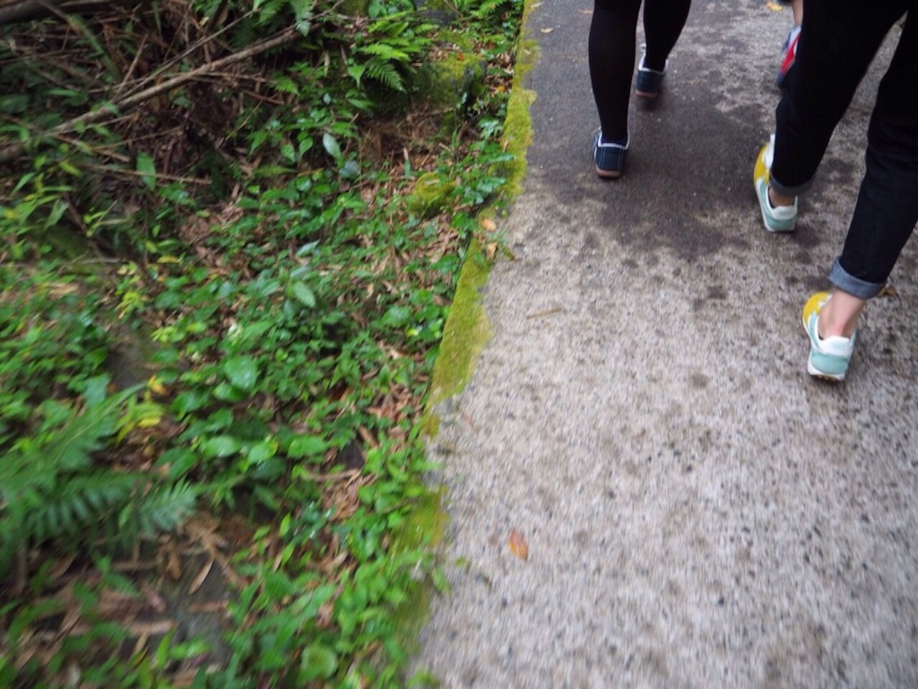 f:id:ohta6322:20151118113656j:image f:id:ohta6322:20151118113656j:image