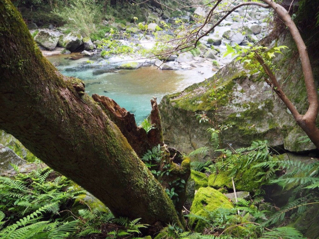f:id:ohta6322:20151118114208j:image f:id:ohta6322:20151118114208j:image