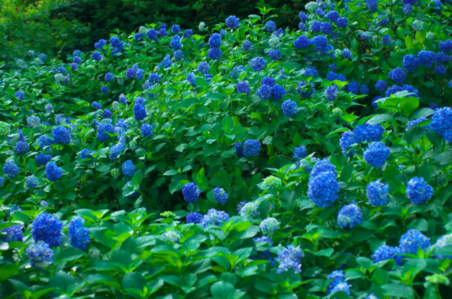 f:id:ohta944:20140607162130j:plain