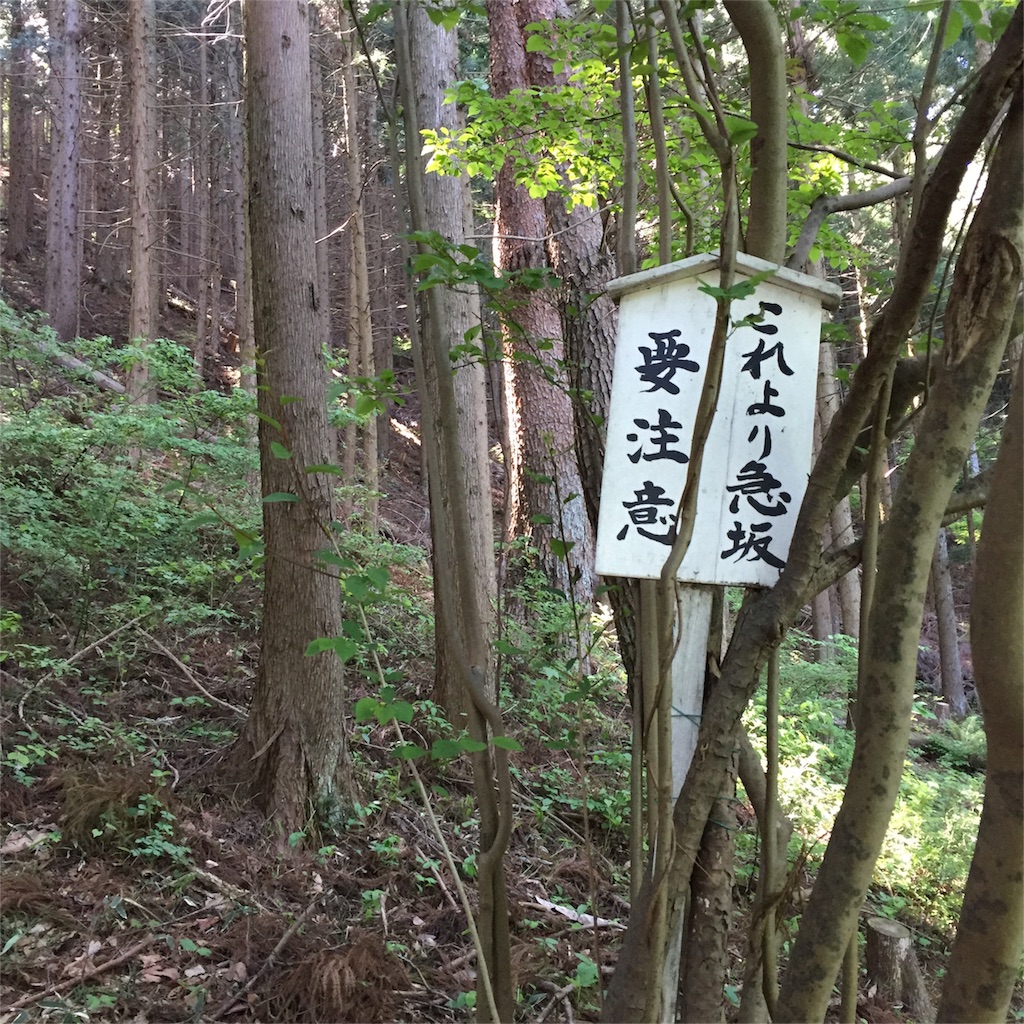f:id:ohto0925:20160511171751j:image f:id:ohto0925:20160511171751j:image