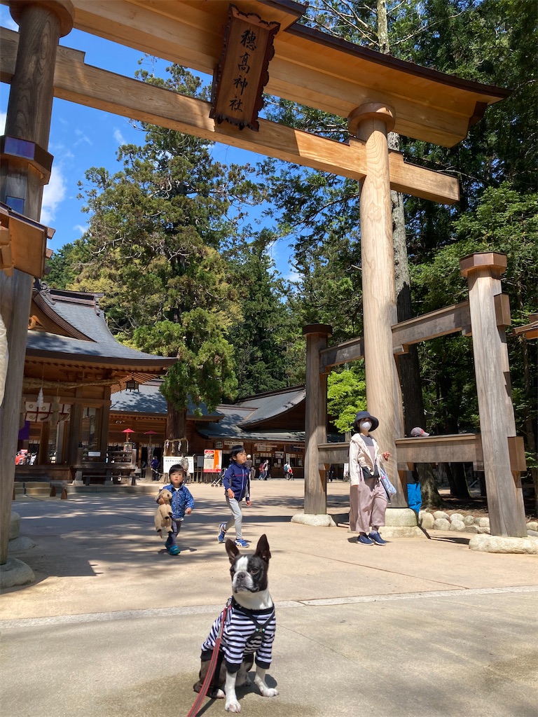 f:id:ohto0925:20220505171709j:image