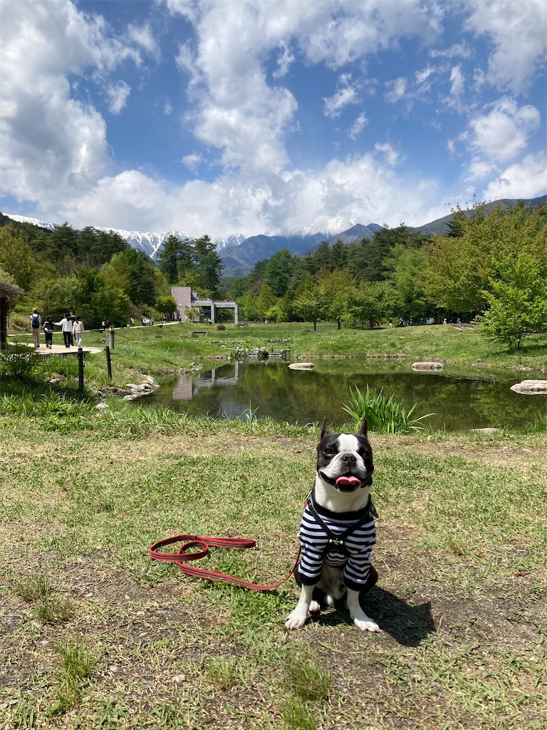 f:id:ohto0925:20220505171715j:image