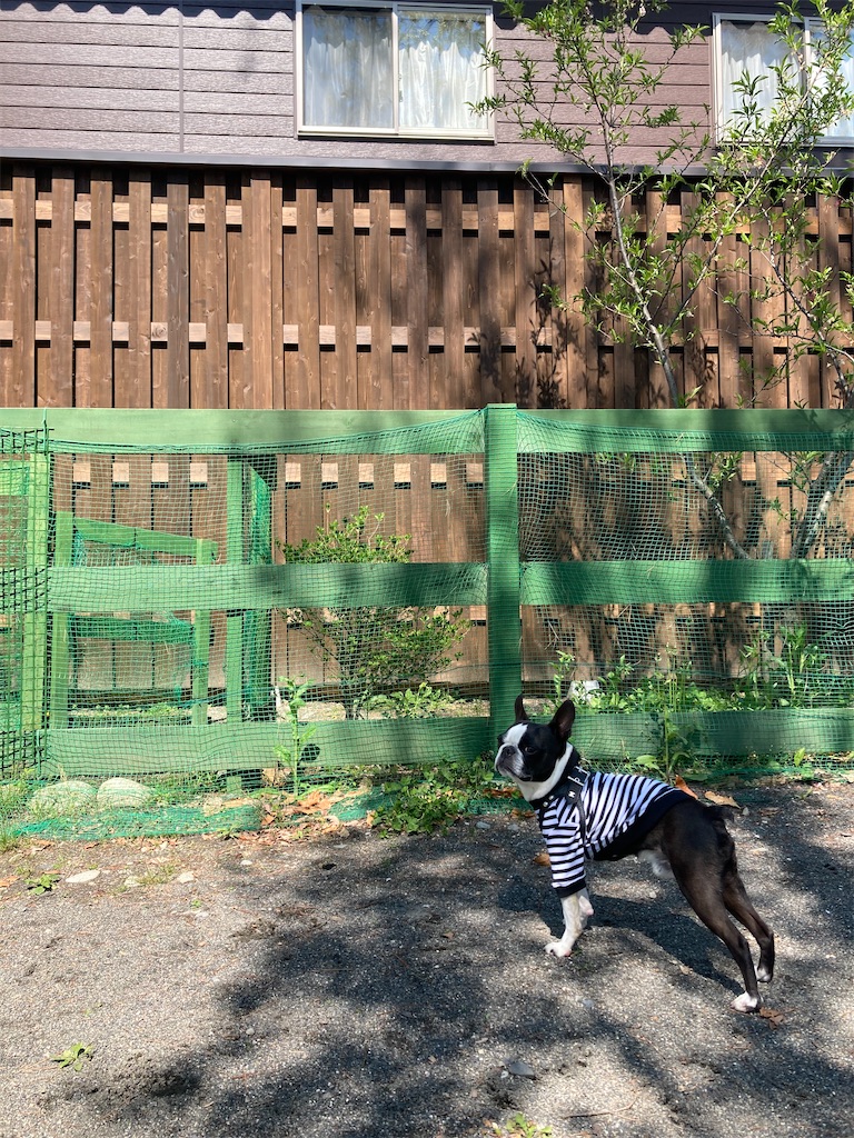 f:id:ohto0925:20220505171733j:image
