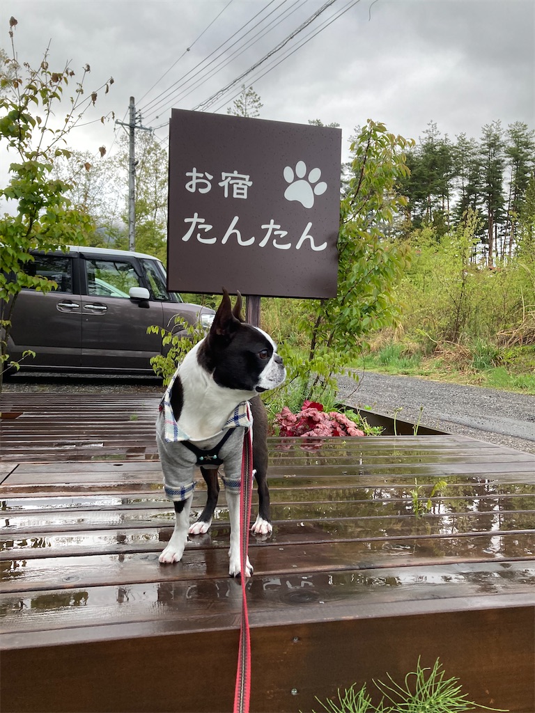 f:id:ohto0925:20220505171736j:image