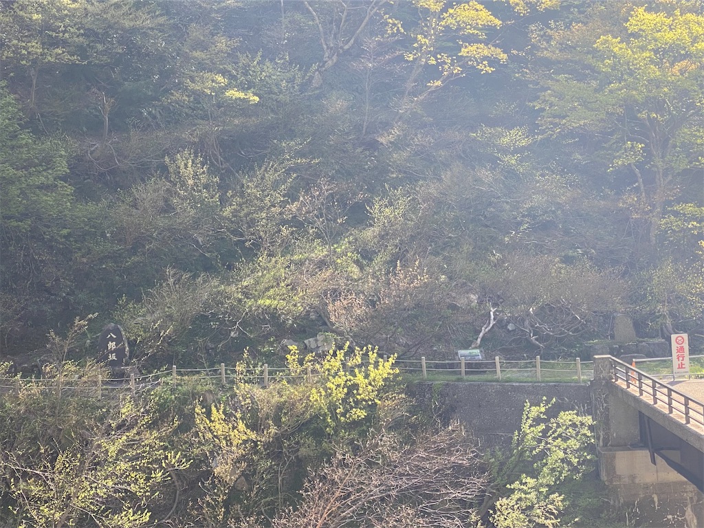 f:id:ohv1995:20260508110009j:image