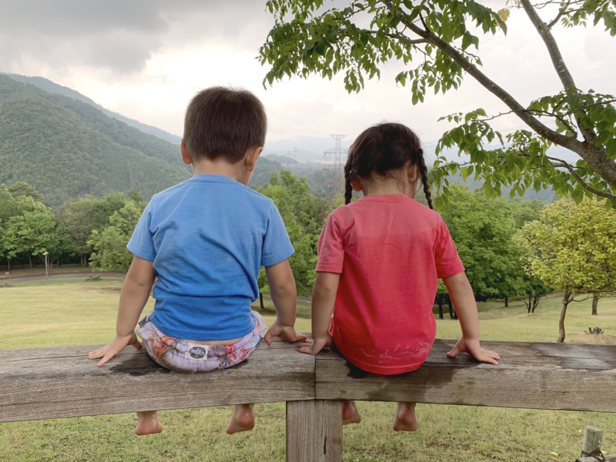 f:id:ohyamak:20190703221702j:plain f:id:ohyamak:20190703221702j:plain