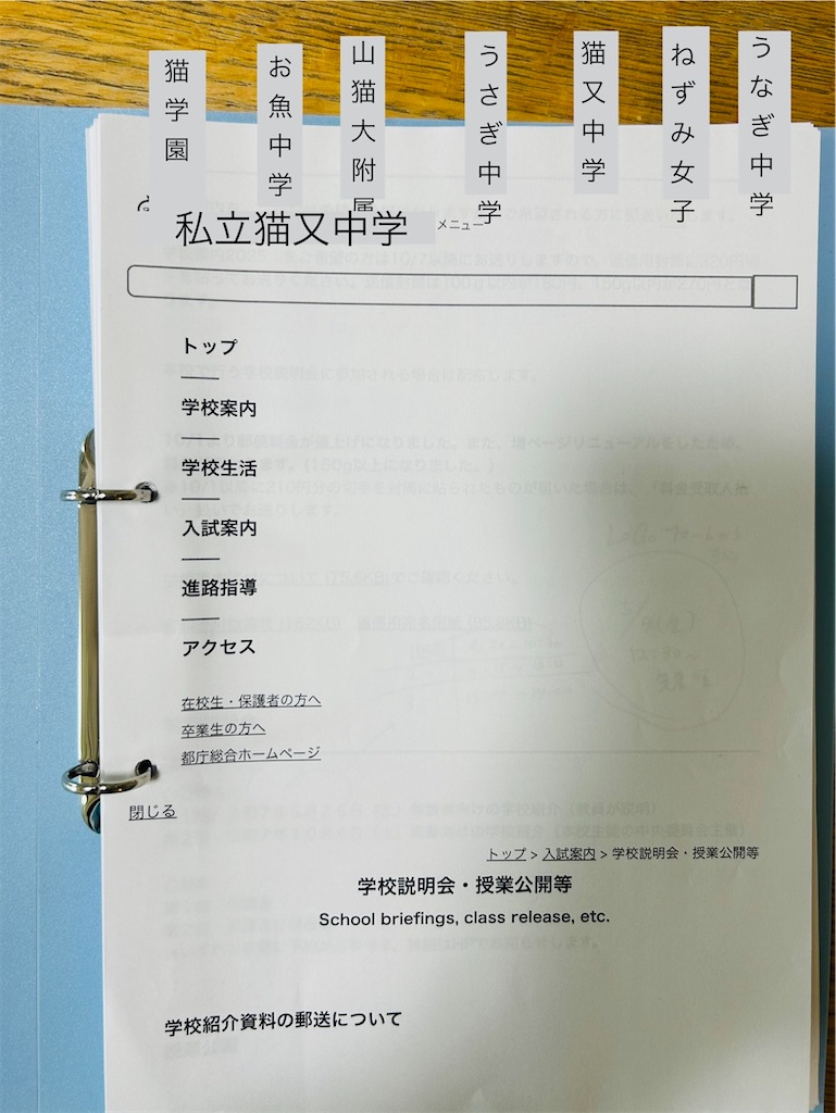 f:id:oicchimouse:20250527130435j:image