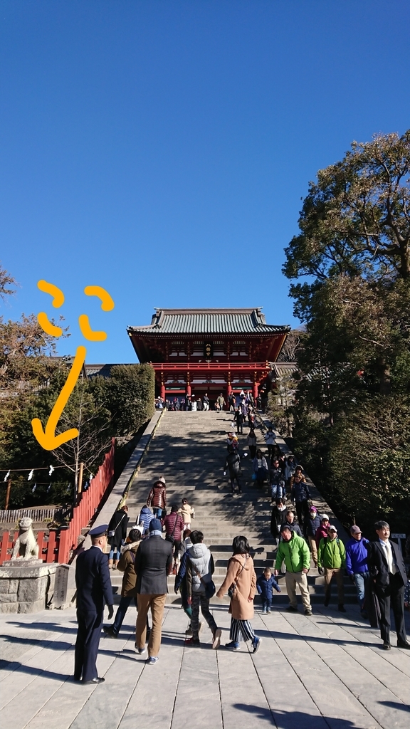f:id:oidon5:20190304234115j:plain