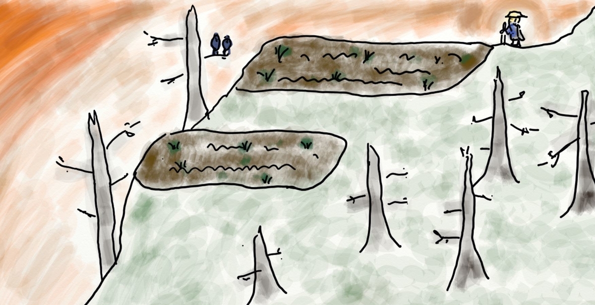 f:id:oidon5:20190630143349j:plain f:id:oidon5:20190630143349j:plain