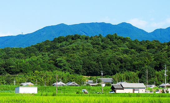 f:id:oidon5:20200718113003p:plain