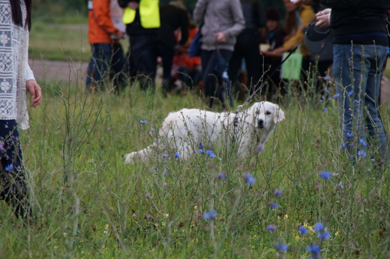 f:id:oiken01:20120622013521j:image f:id:oiken01:20120622013521j:image