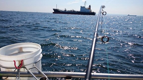 f:id:oimako0121:20170424113426j:plain