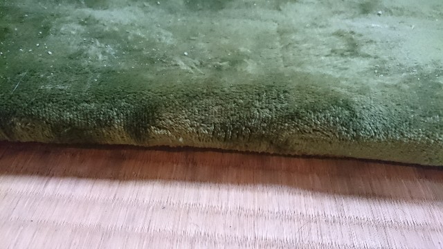 f:id:oimako0121:20180323221600j:image f:id:oimako0121:20180323221600j:image