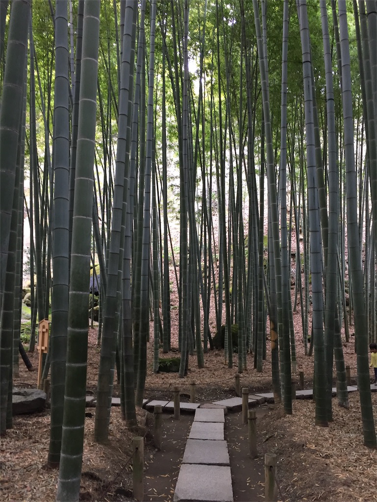 f:id:oimichi1:20170408180606j:image f:id:oimichi1:20170408180606j:image