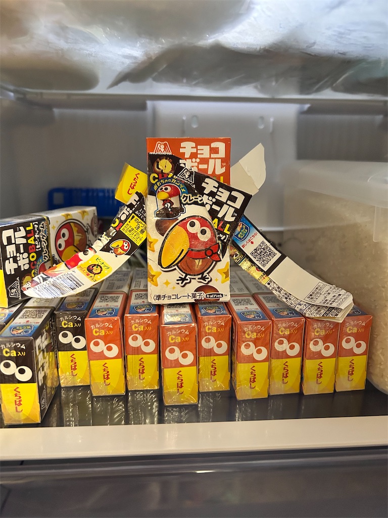 f:id:oimo-chan:20251110095722j:image