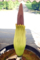 20100716143514