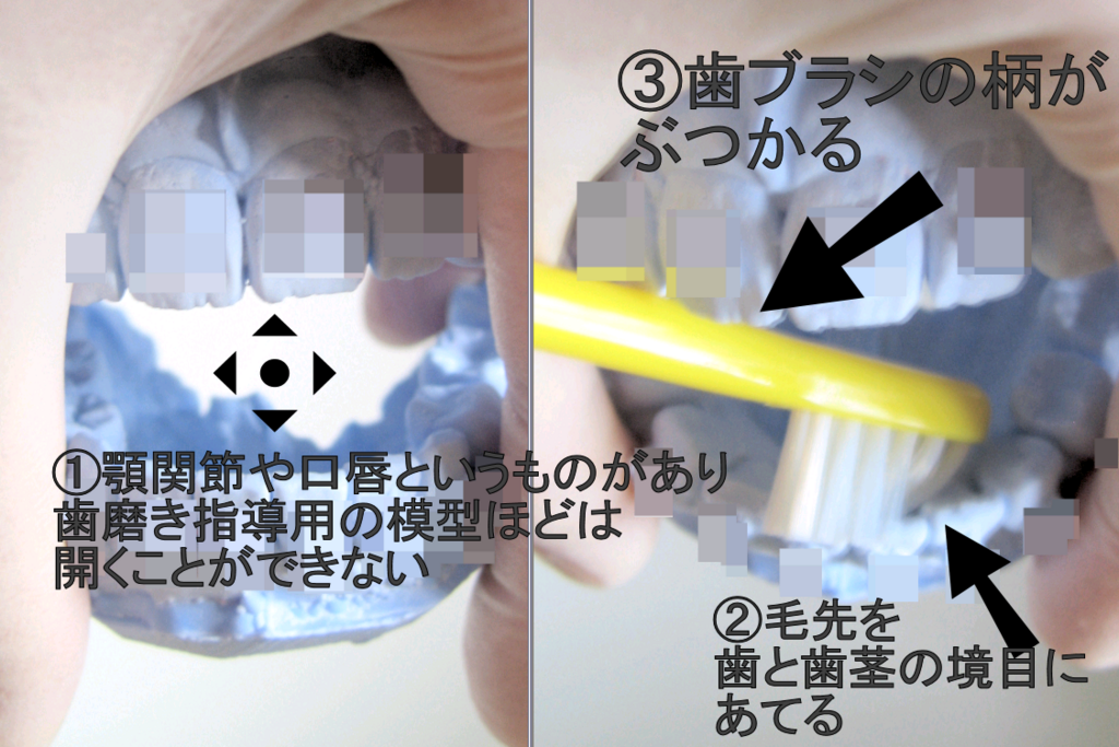 f:id:oimotan:20180701232720p:plain f:id:oimotan:20180701232720p:plain