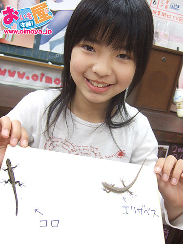 f:id:oimoya:20070429101327j:image f:id:oimoya:20070429101327j:image