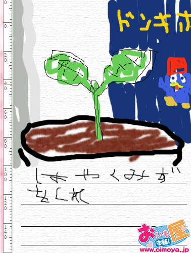 f:id:oimoya:20080829220601j:image f:id:oimoya:20080829220601j:image