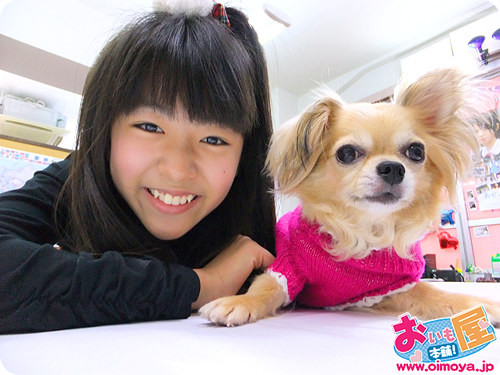 f:id:oimoya:20111103194402j:image f:id:oimoya:20111103194402j:image