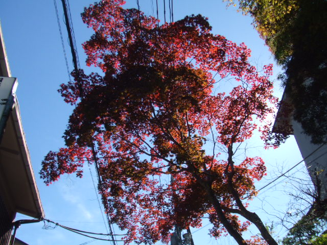 f:id:oinor-i:20171103111725j:plain