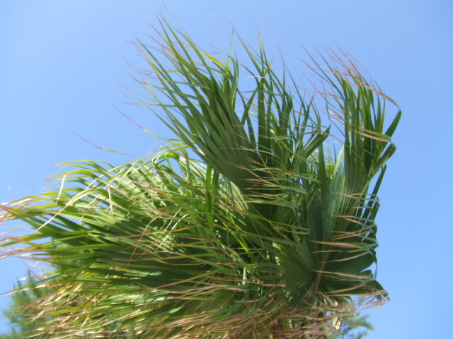 f:id:oinor-i:20180105091013j:plain f:id:oinor-i:20180105091013j:plain