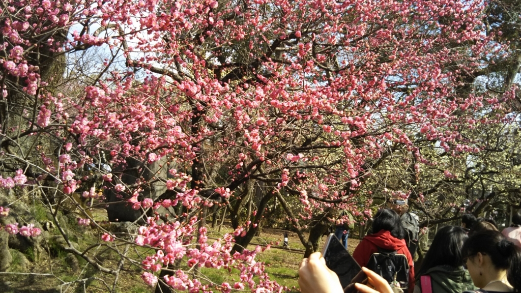 f:id:oinor-i:20180304174826j:plain