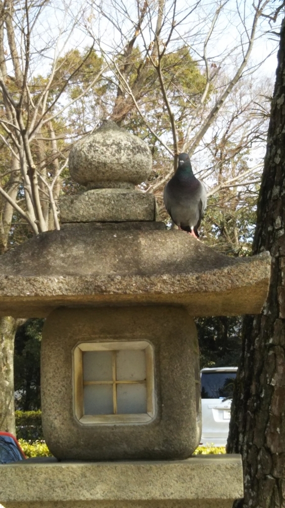 f:id:oinor-i:20180304175052j:plain