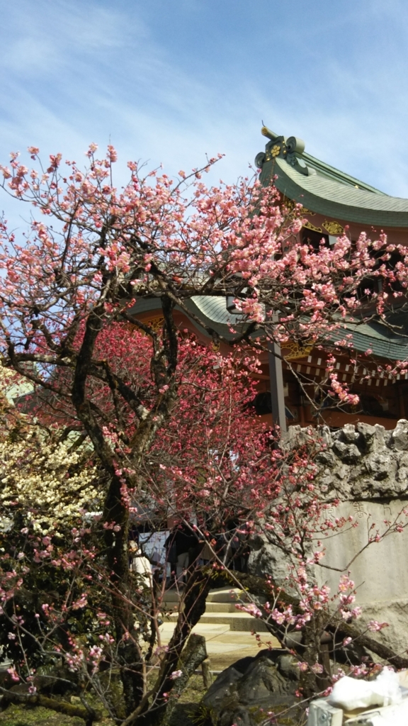 f:id:oinor-i:20180305093726j:plain