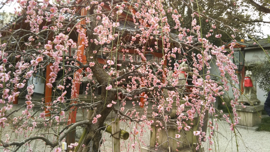 f:id:oinor-i:20180308092916j:plain