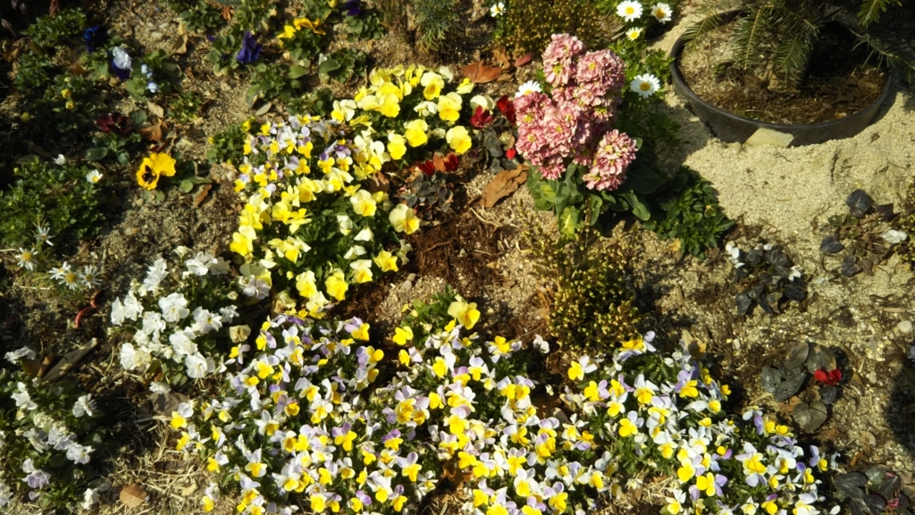 f:id:oinor-i:20180325180143j:plain