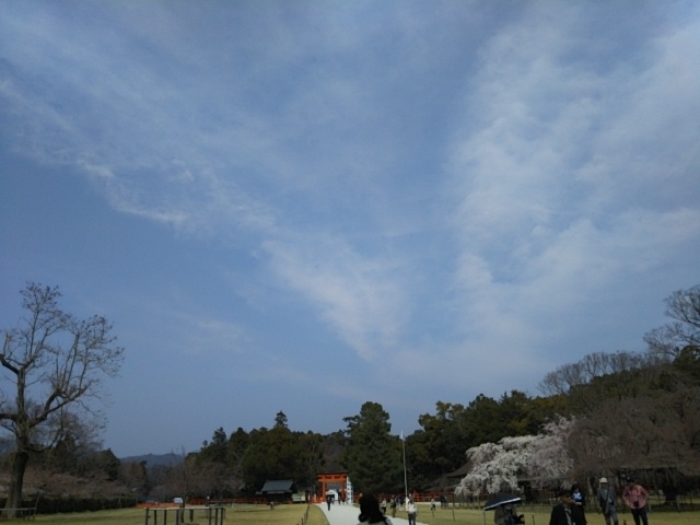 f:id:oinor-i:20180329091028j:plain f:id:oinor-i:20180329091028j:plain