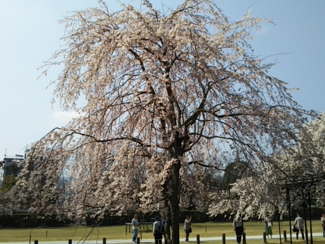 f:id:oinor-i:20180329092413j:plain f:id:oinor-i:20180329092413j:plain