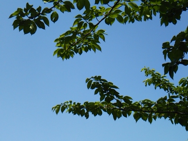 f:id:oinor-i:20180508102859j:plain f:id:oinor-i:20180508102859j:plain