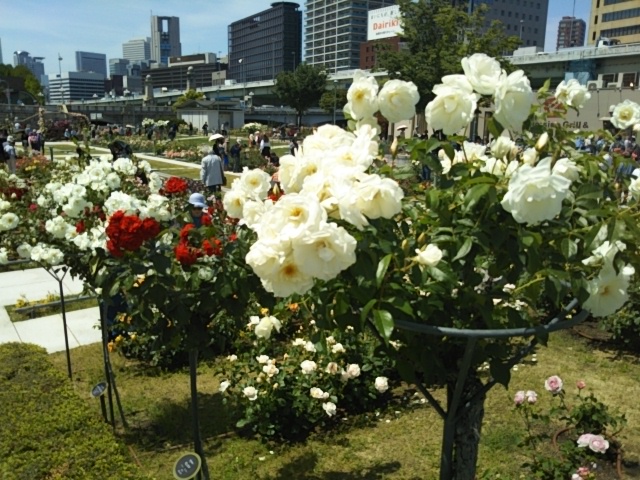 f:id:oinor-i:20180511221355j:plain