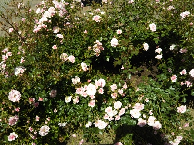 f:id:oinor-i:20180528142011j:plain