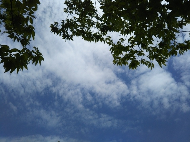 f:id:oinor-i:20180601110300j:plain f:id:oinor-i:20180601110300j:plain