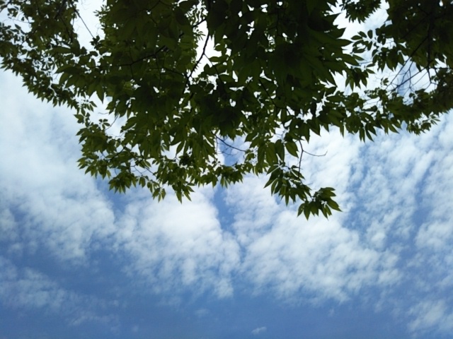 f:id:oinor-i:20180601114314j:plain f:id:oinor-i:20180601114314j:plain