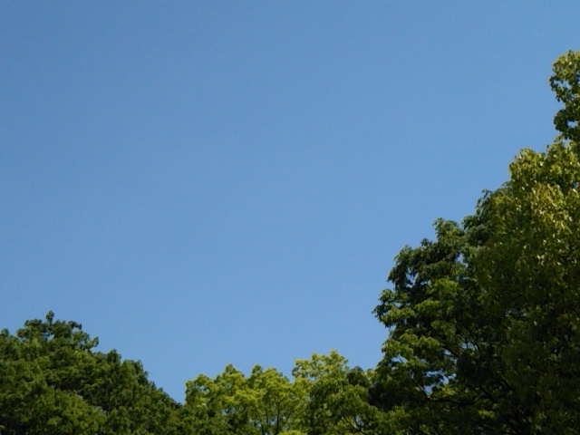 f:id:oinor-i:20180905102632j:plain f:id:oinor-i:20180905102632j:plain