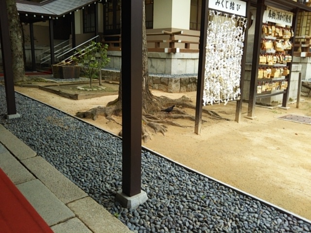 f:id:oinor-i:20180913114534j:plain f:id:oinor-i:20180913114534j:plain