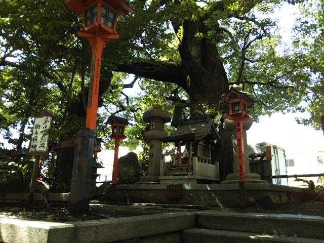 f:id:oinor-i:20180929141701j:plain f:id:oinor-i:20180929141701j:plain