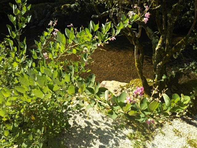 f:id:oinor-i:20181005175404j:plain f:id:oinor-i:20181005175404j:plain