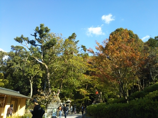 f:id:oinor-i:20181029144311j:plain