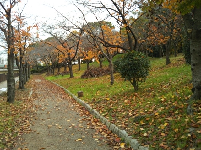 f:id:oinor-i:20181204153811j:plain